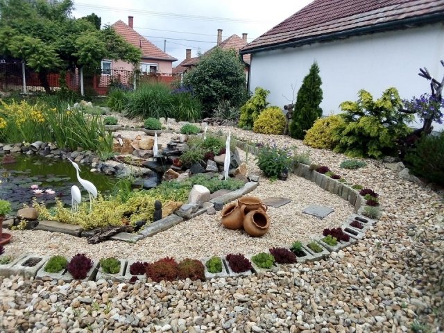 Molnár Anna kertje 04